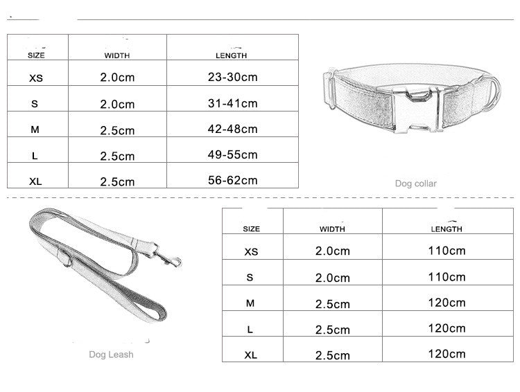 Pet Leash Training for Dogs