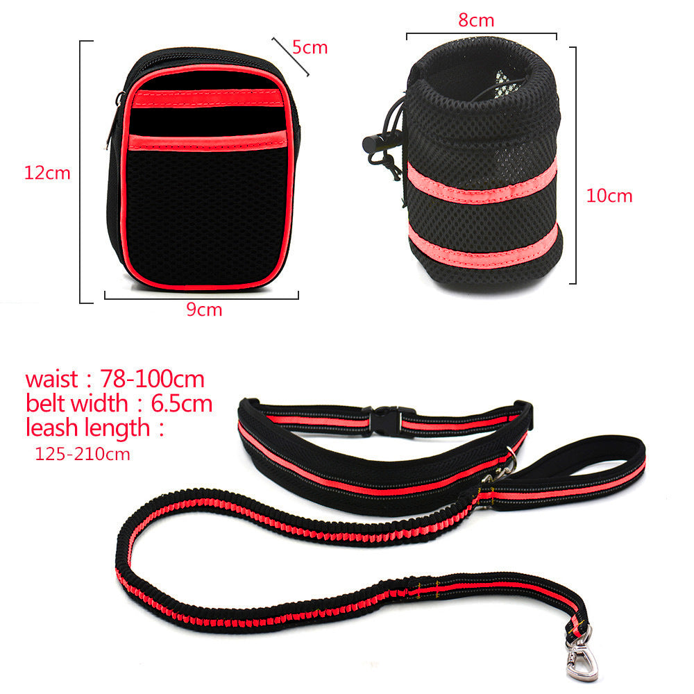 Reflective Pet Traction Set for Enhanced Safety