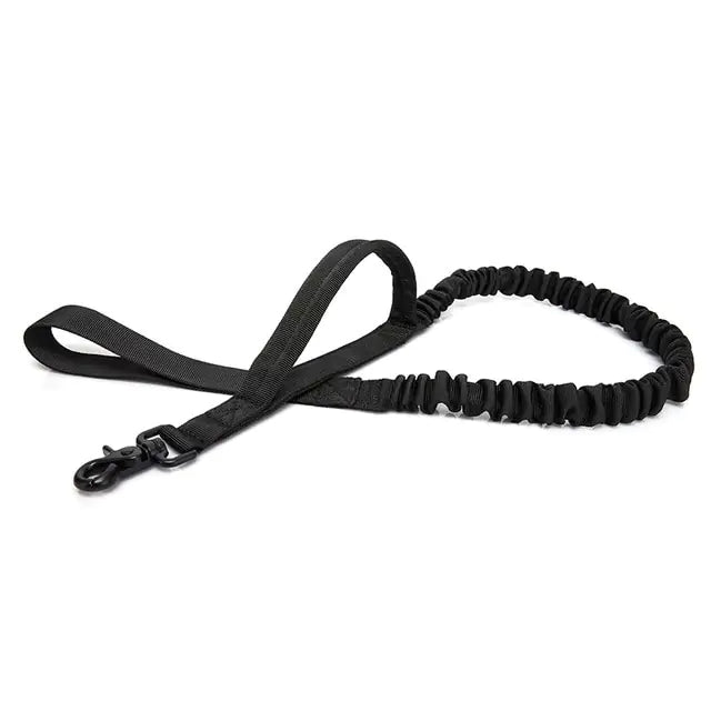 Reflective Thread Dog Leash