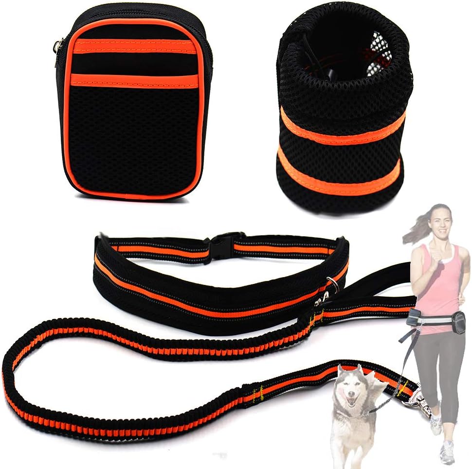 Reflective Pet Traction Set for Enhanced Safety