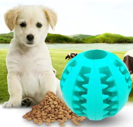 Dog Teeth Cleaning Toy Ball