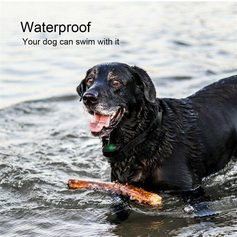 Waterproof Pet Fence Receiver