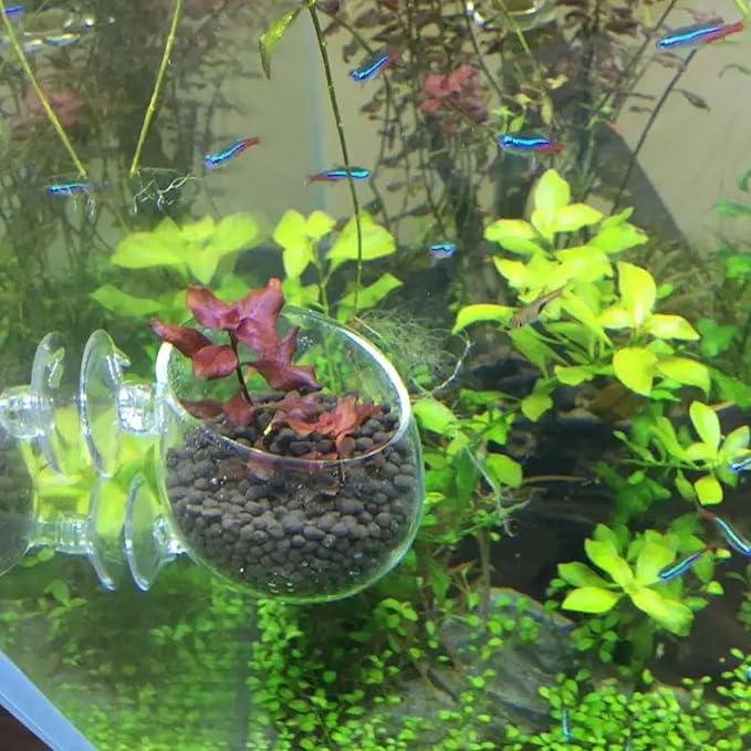 Fishbowl Cups Aquarium Plant Pot