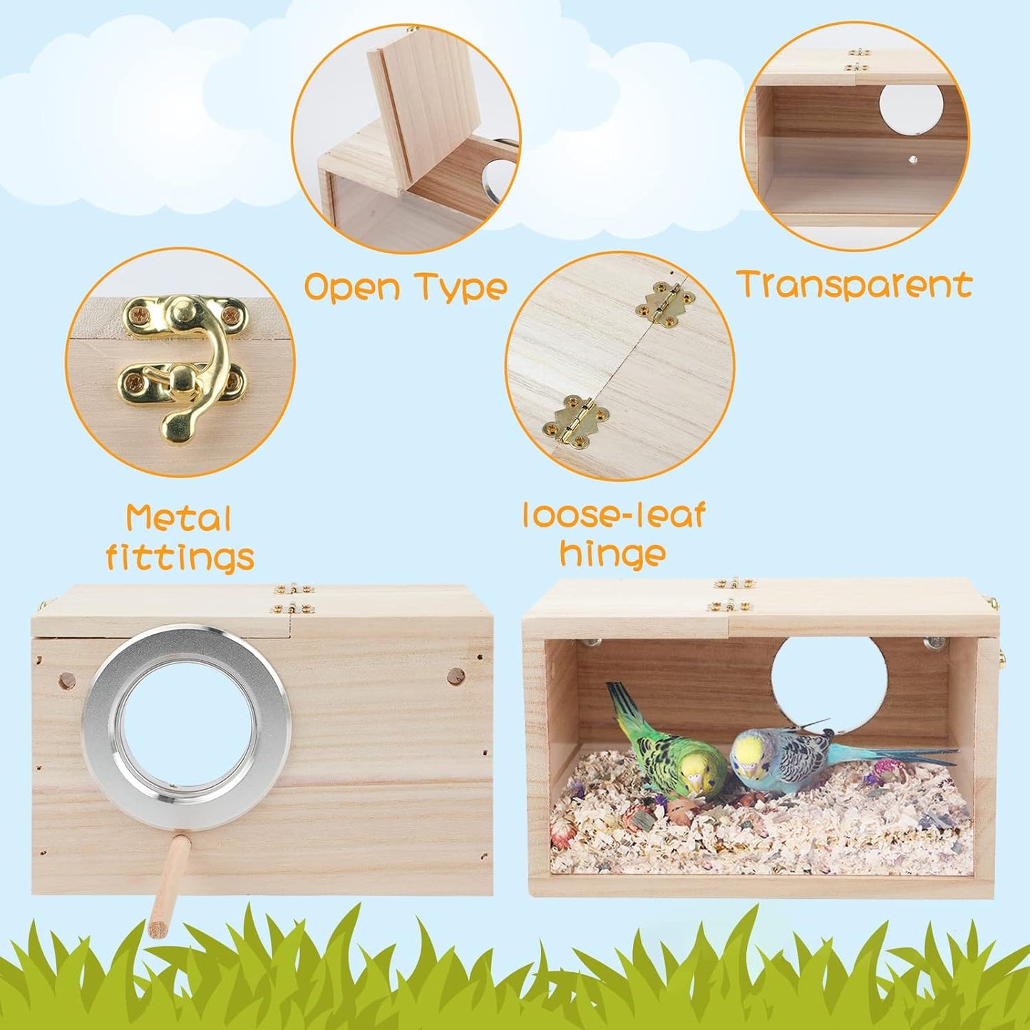 Transparent Wood Parrot Box House