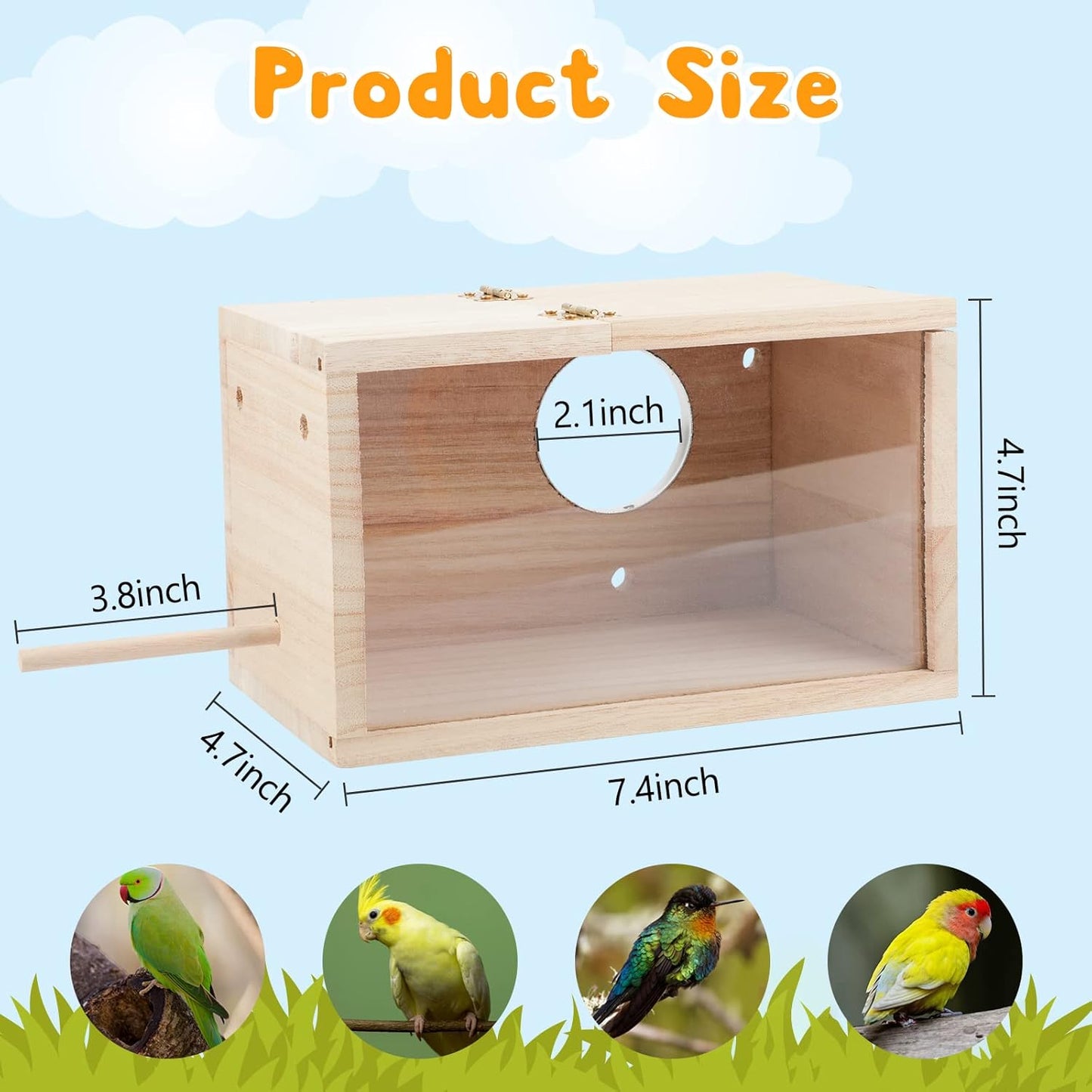 Transparent Wood Parrot Box House
