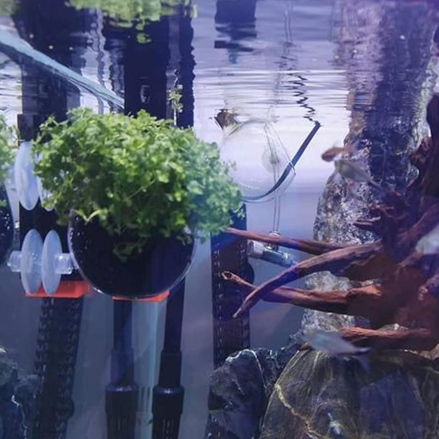 Fishbowl Cups Aquarium Plant Pot