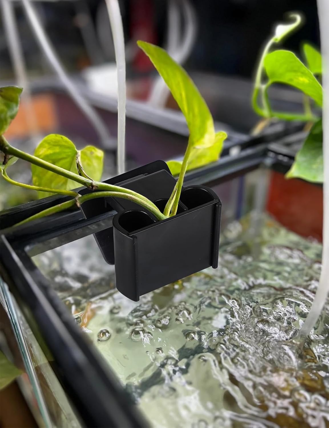 Aquarium Plant Holder with Clip