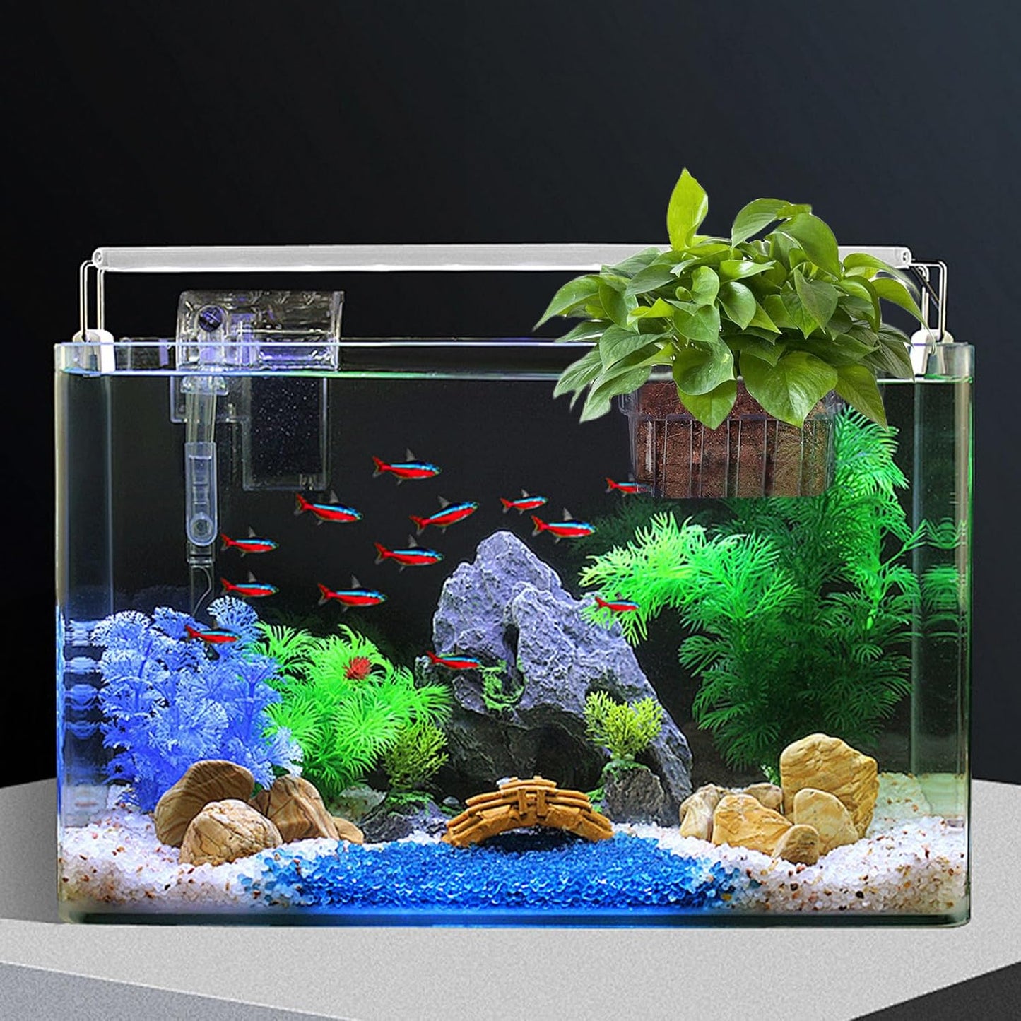 Adjustable Fish Tank Plant Pot Holer