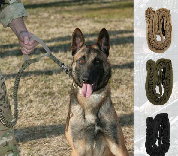 Reflective Thread Dog Leash