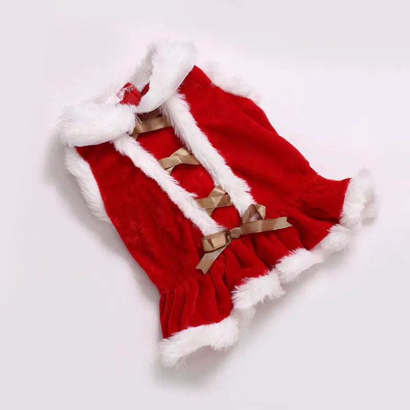Teddy Bichon Pet Clothes - New Collection