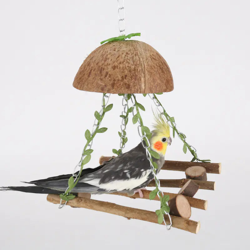 Coconut Bird Nest Swing Hammock