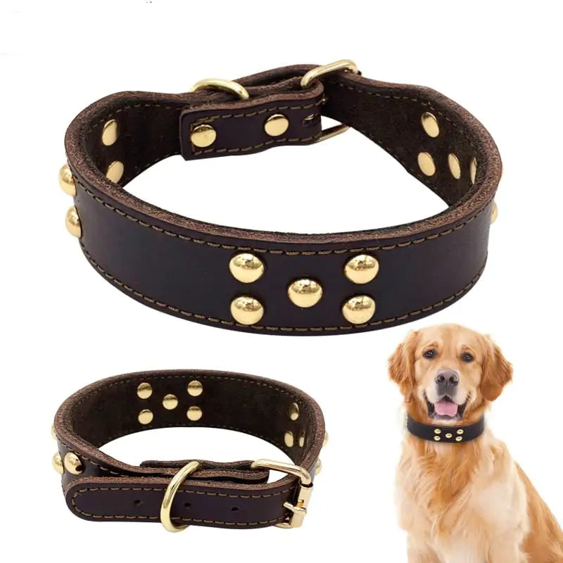 Dog Collar