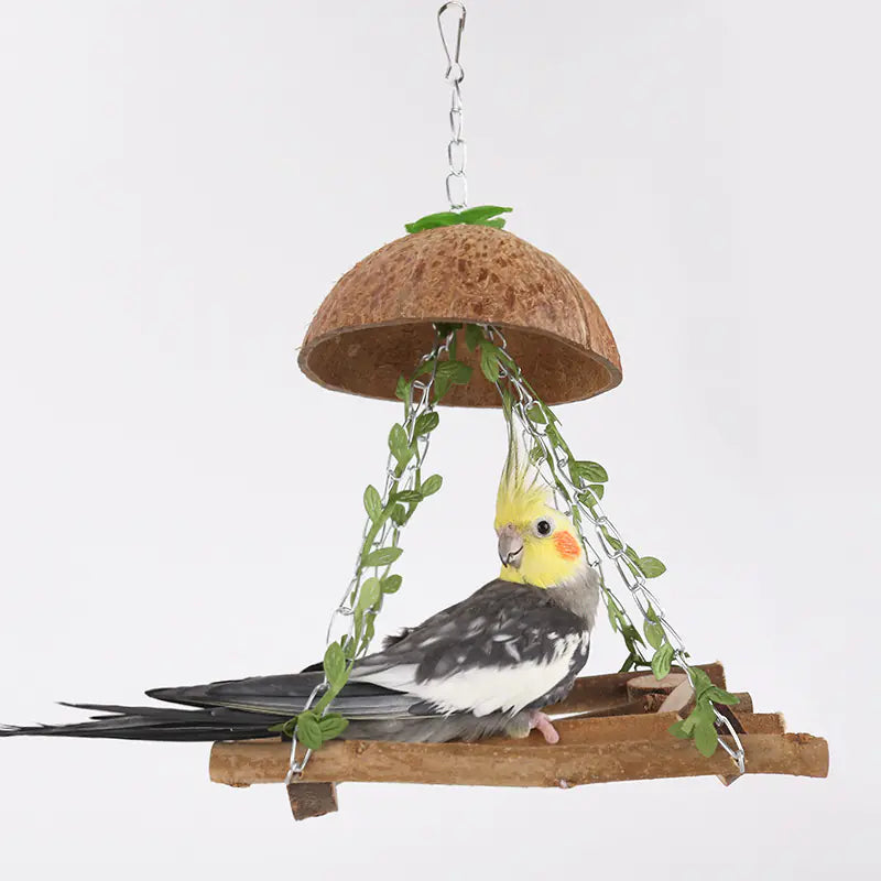 Coconut Bird Nest Swing Hammock