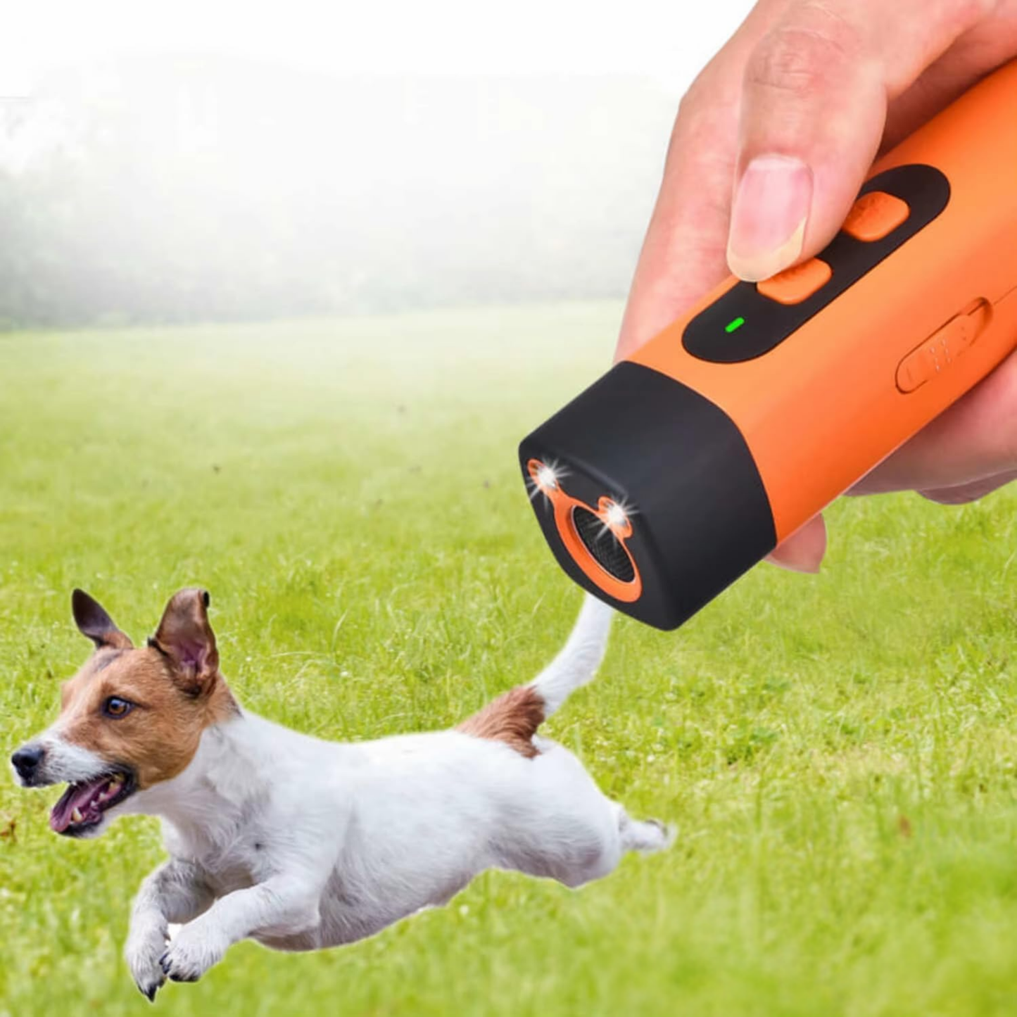 Mini Handheld Pet Training Light