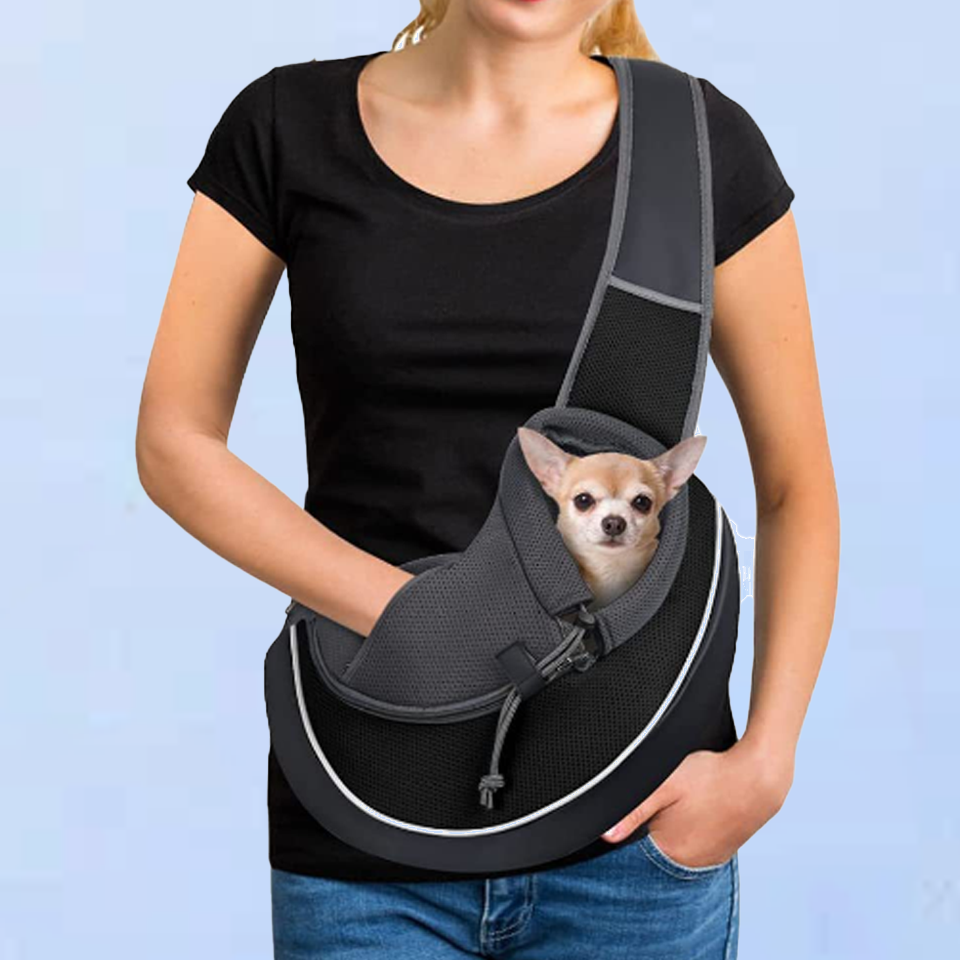 Ideal Pet Carrier Bag