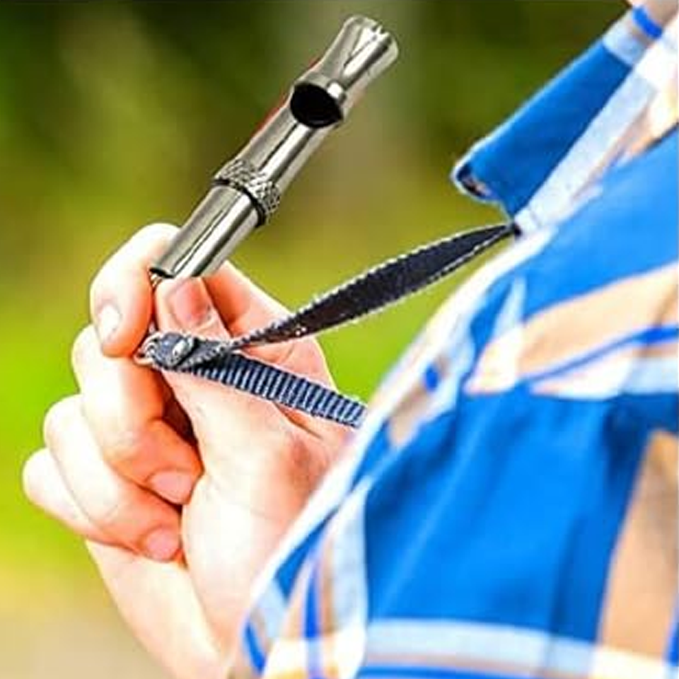 Ultrasonic Dog Training Whistle