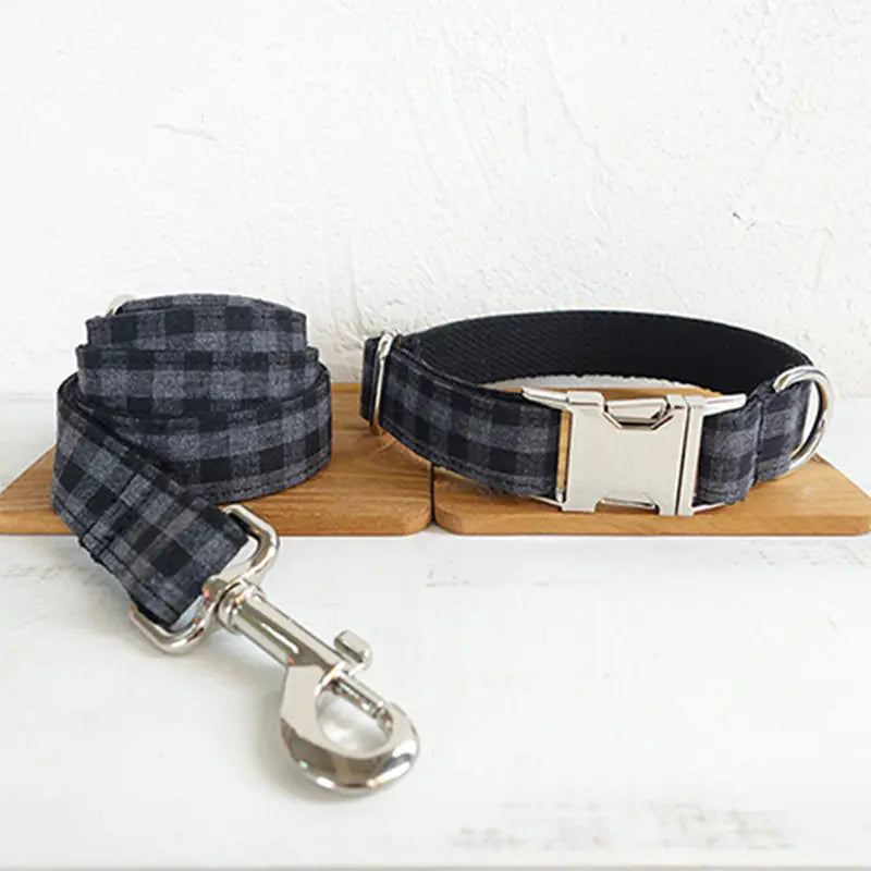 Pet Leash Training for Dogs