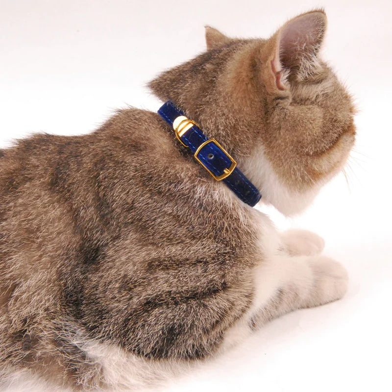 Cat Safety Collar