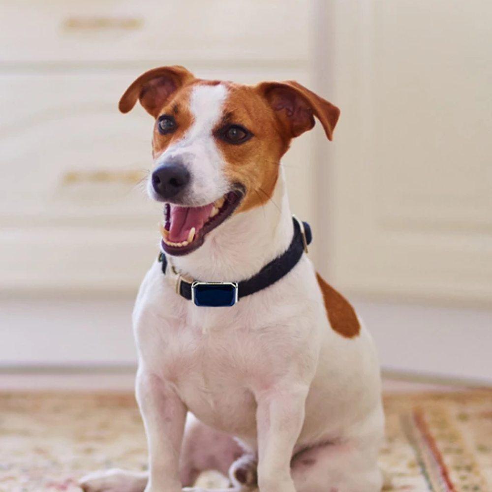 GPS Lost Pet Location Tracking Collar