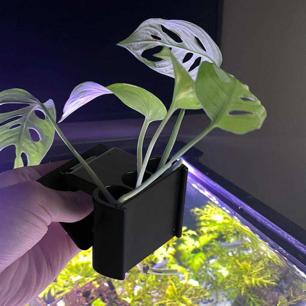 Aquarium Plant Holder with Clip