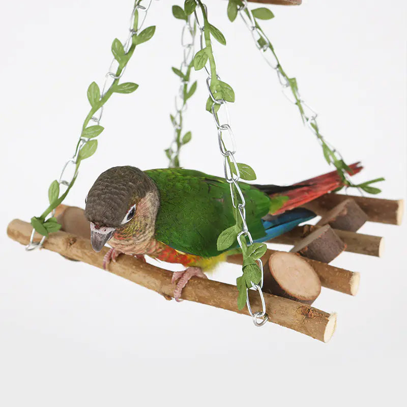 Coconut Bird Nest Swing Hammock