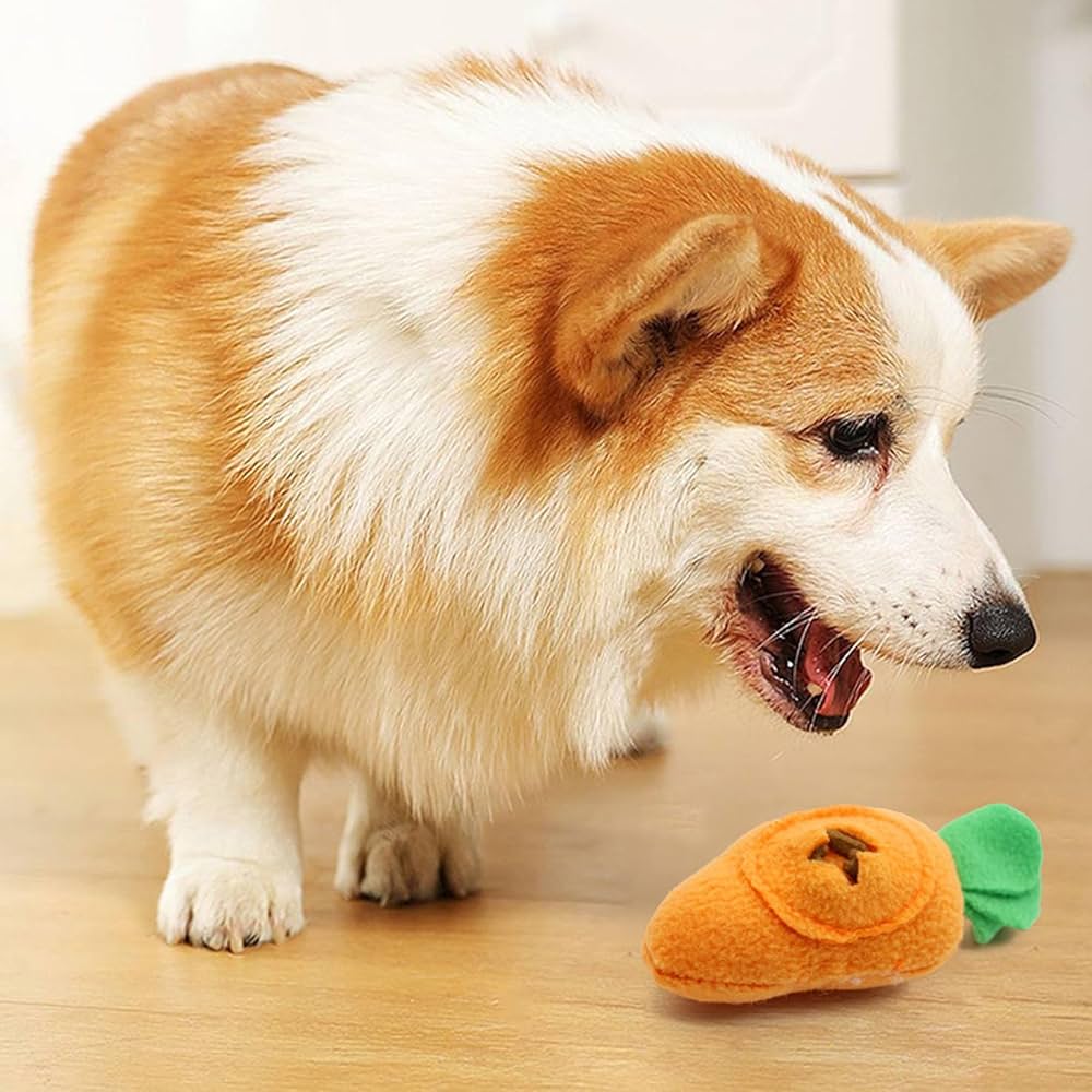 Toys & Treats
