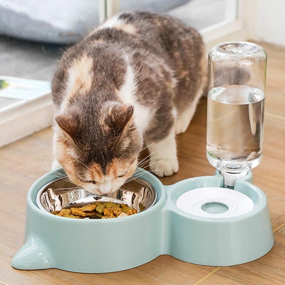 Cat Feeding & Toiletries