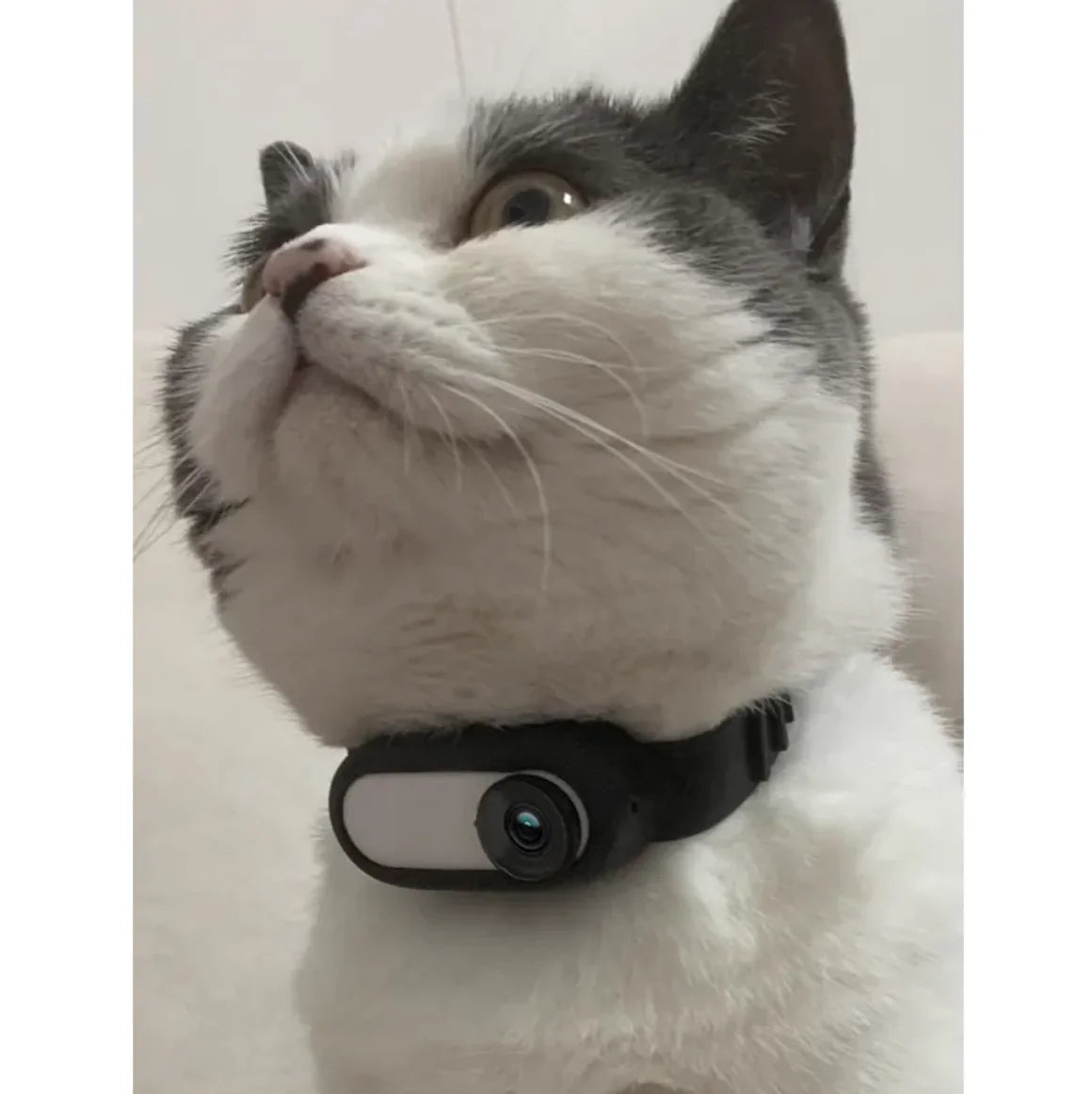Wireless Pet Collar Camera