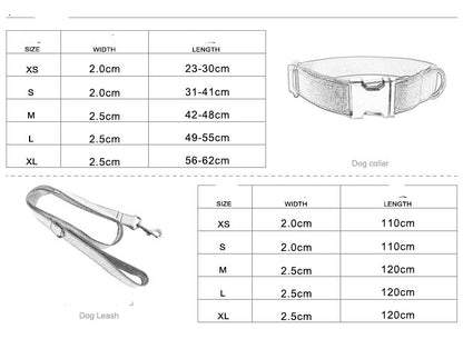 Pet Leash Training for Dogs