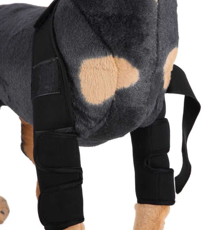Dog Knee Brace & Leg Protector