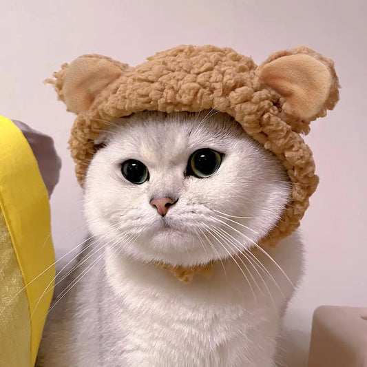 Cat Personality Creative Headgear Hat