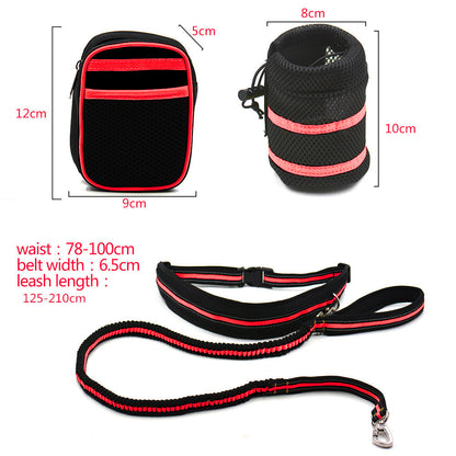 Reflective Pet Traction Set for Enhanced Safety