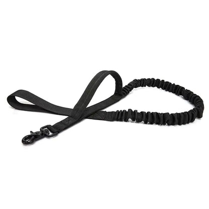 Reflective Thread Dog Leash