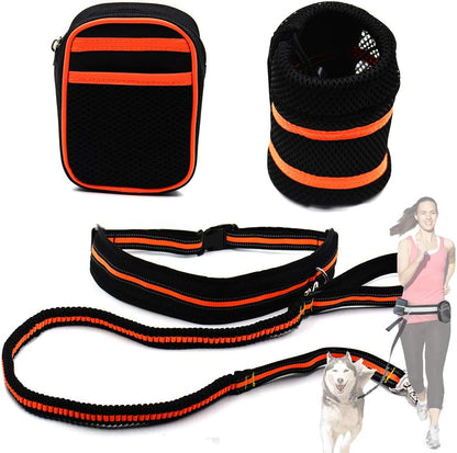 Reflective Pet Traction Set for Enhanced Safety