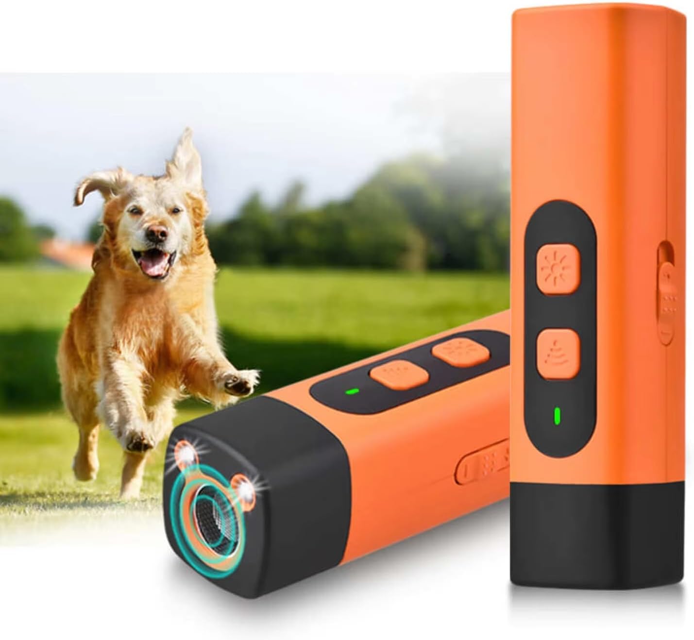Mini Handheld Pet Training Light