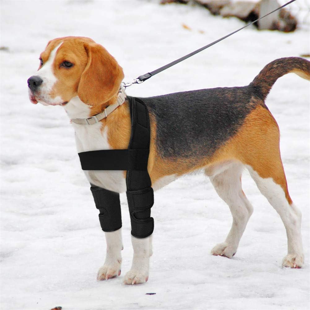 Dog Knee Brace & Leg Protector