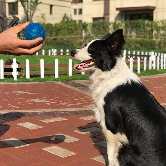 Pet Squeak Chew Bouncy Rubber Toy Ball