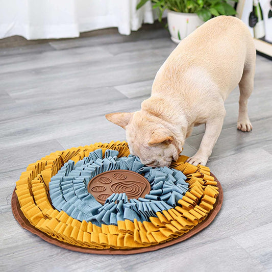 Pet Training Sniffing Feeding Snuffle Mat