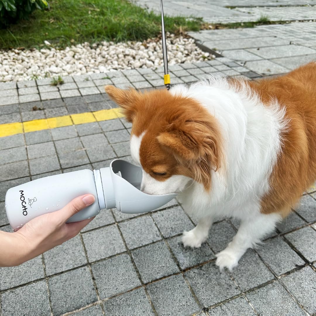 Portable Dog Water Bottle