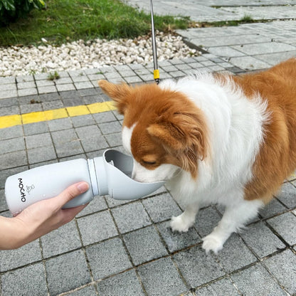 Portable Dog Water Bottle
