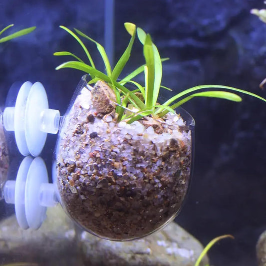 Fishbowl Cups Aquarium Plant Pot