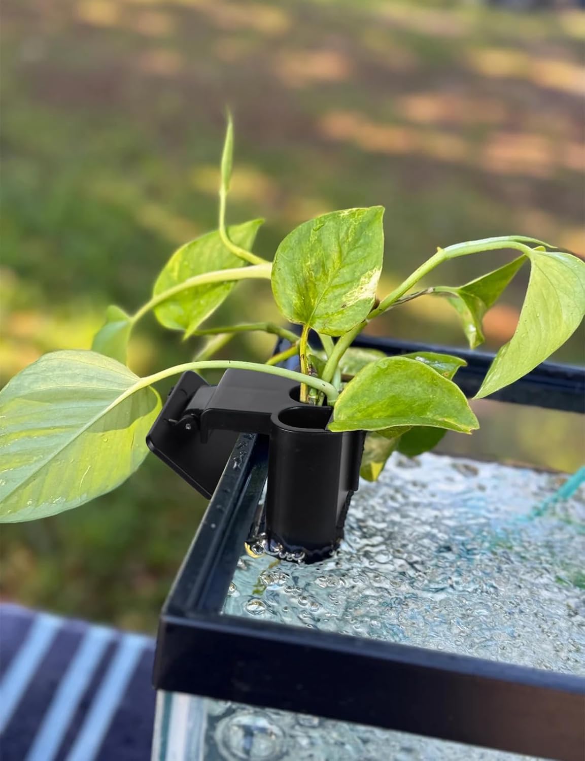 Aquarium Plant Holder with Clip
