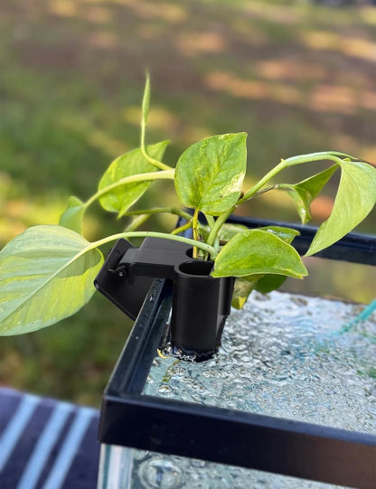 Aquarium Plant Holder with Clip