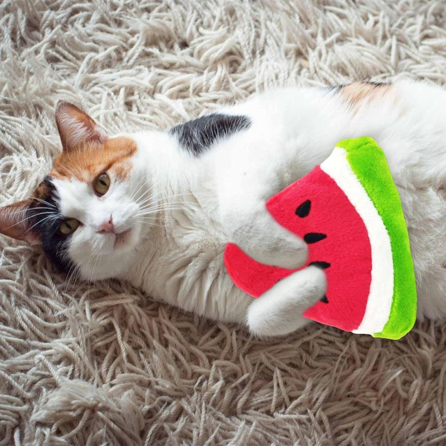 Watermelon Shape Pet Chew Toys