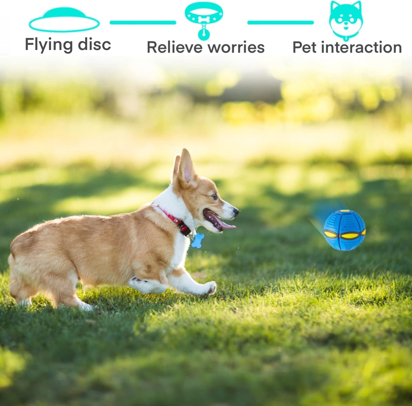 Interactive Flying Saucer Disc Ball