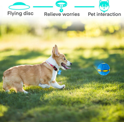 Interactive Flying Saucer Disc Ball