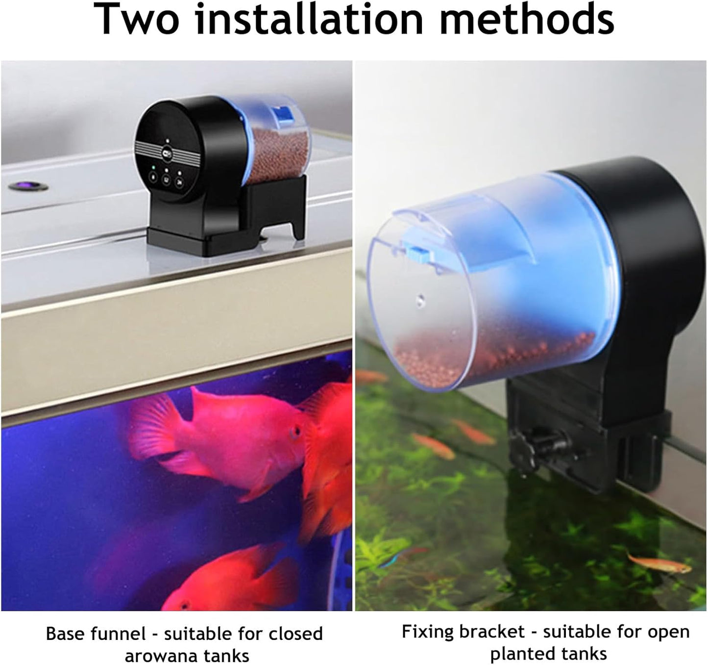 Auto Fish Food Dispenser