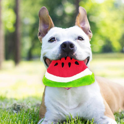 Watermelon Shape Pet Chew Toys