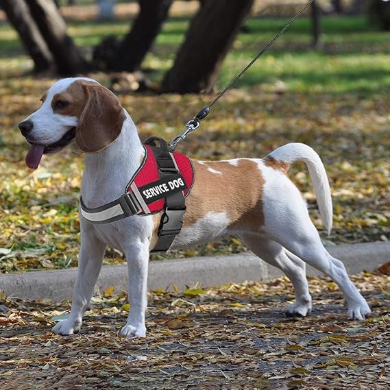 Personalized Pet Chest Strap Harness