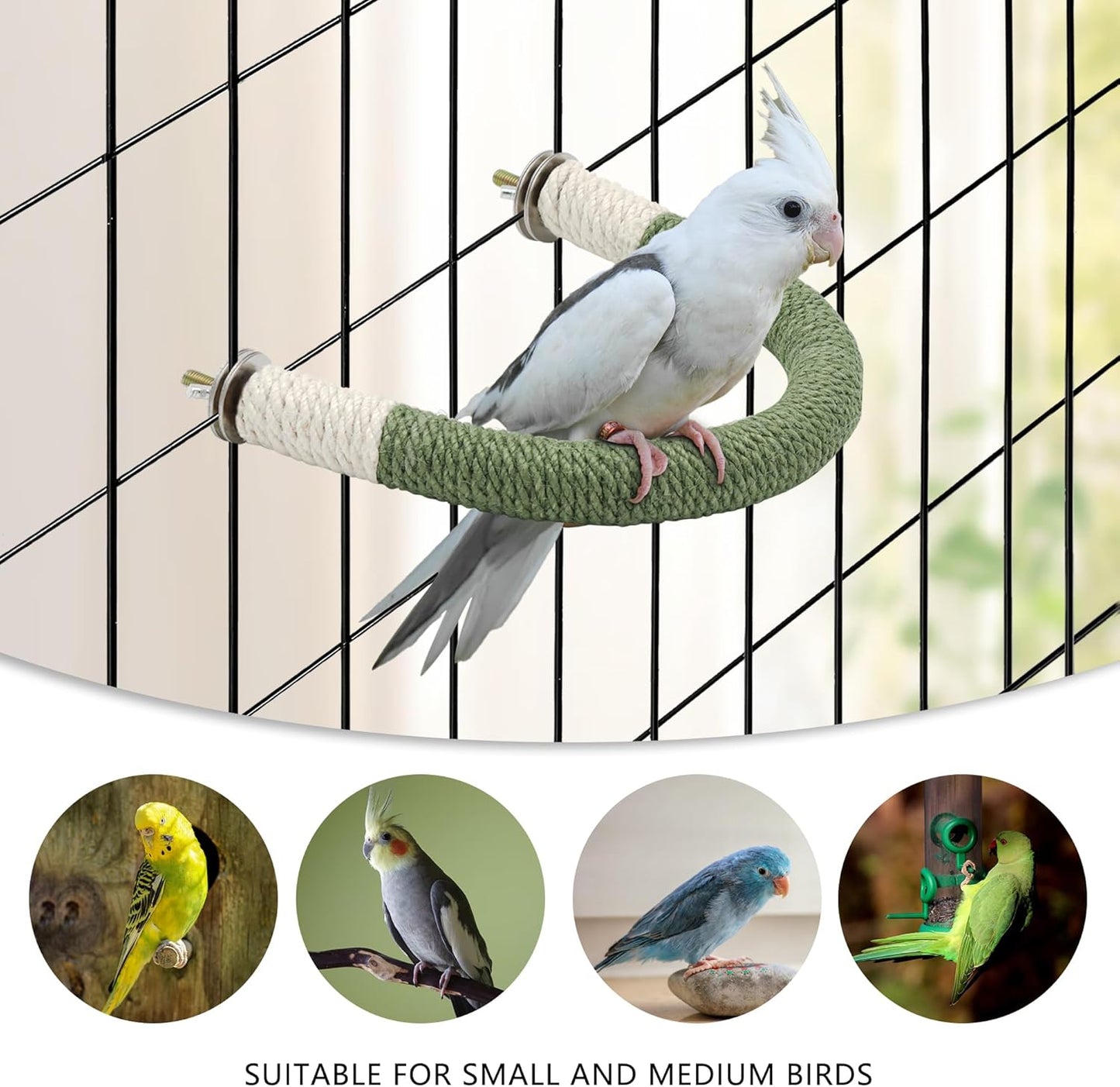 U-Shaped Wood Parrot Perch